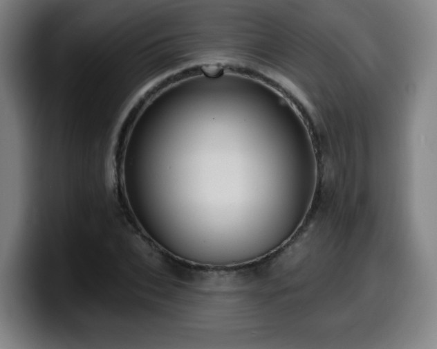 X0000099950927200805301233