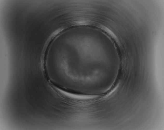 X0000099950930200805301233