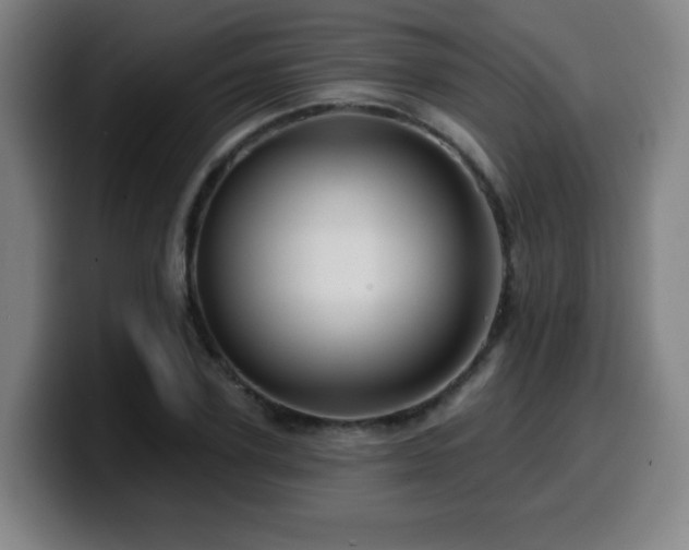 X0000099950931200805301233