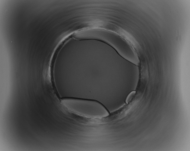 X0000099950932200805301233