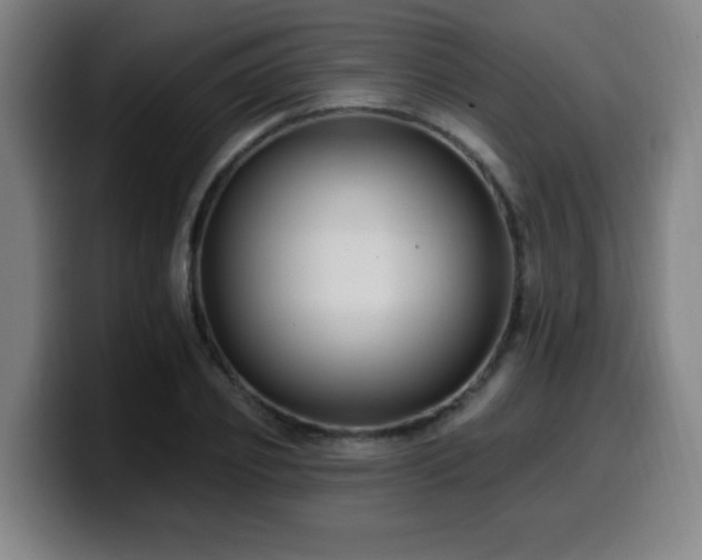 X0000099950933200805301233