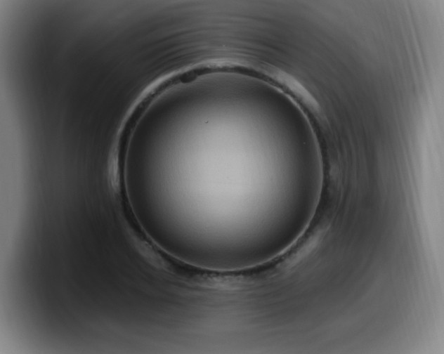 X0000099950934200805301233
