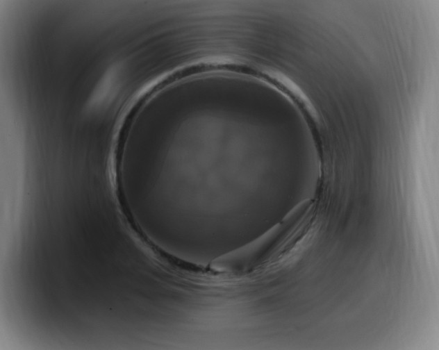 X0000099950935200805301233