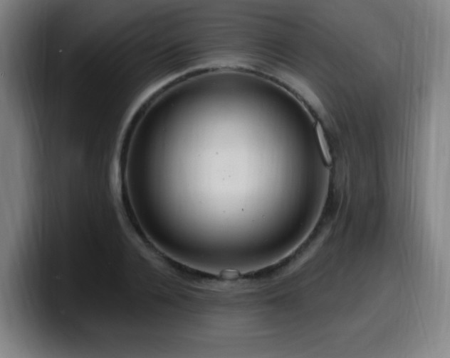 X0000099950936200805301233