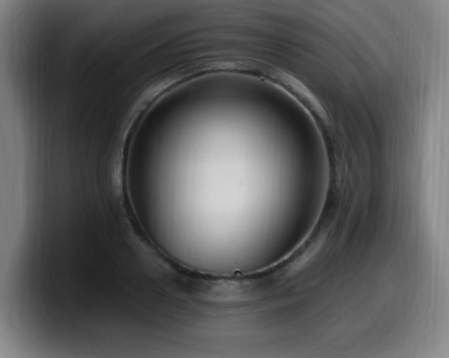 X0000099950938200805301233