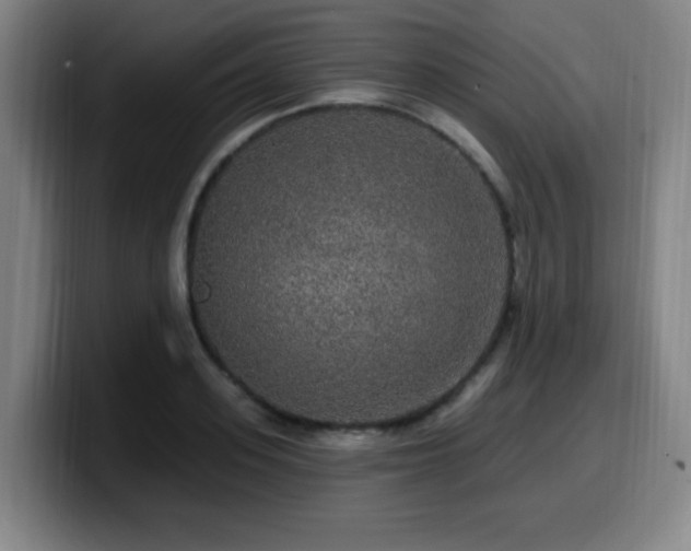 X0000099950939200805301234