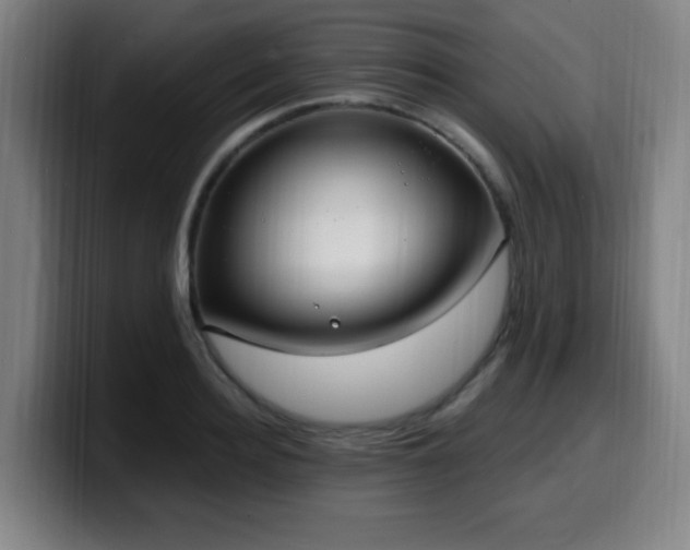X0000099950940200805301234