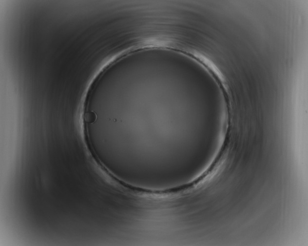 X0000099950941200805301234