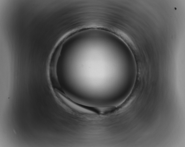 X0000099950942200805301234