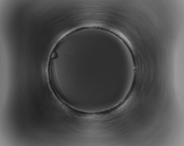 X0000099950943200805301234