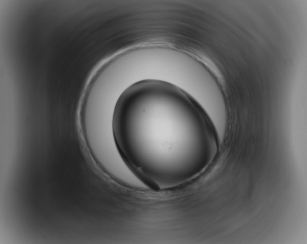 X0000099950944200805301234