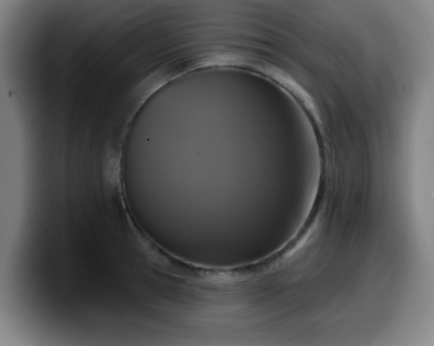 X0000099950945200805301234