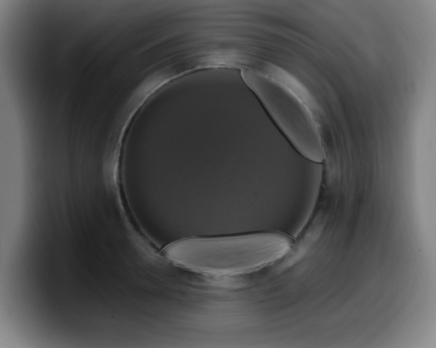 X0000099950946200805301234