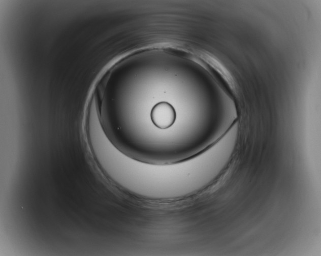 X0000099950948200805301234