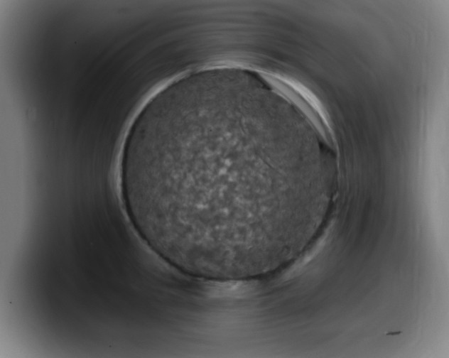 X0000099950949200805301234