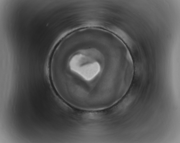 X0000099950950200805301234