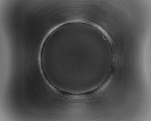 X0000099950951200805301234