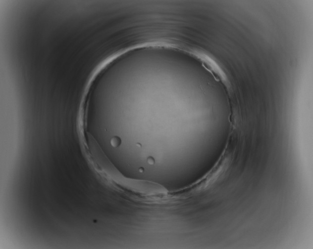 X0000099950952200805301234