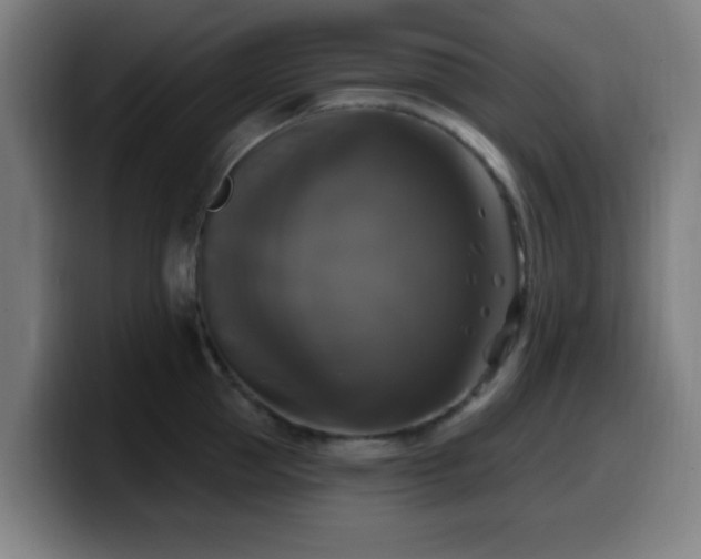 X0000099950953200805301234