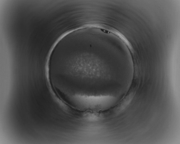X0000099950955200805301234