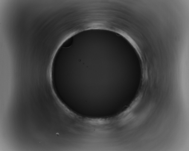 X0000099950957200805301234