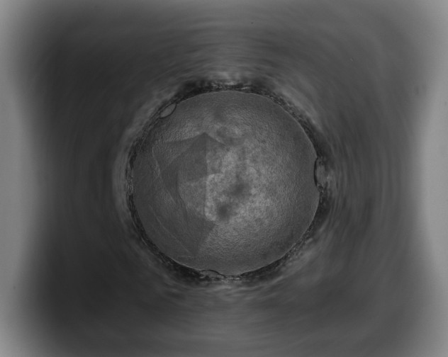 X0000099950961200805301233