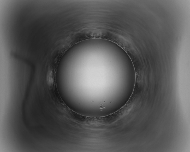 X0000099950962200805301233