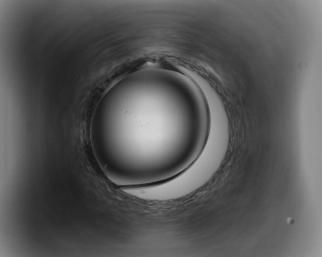 X0000099950965200805301233