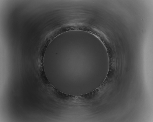 X0000099950966200805301233