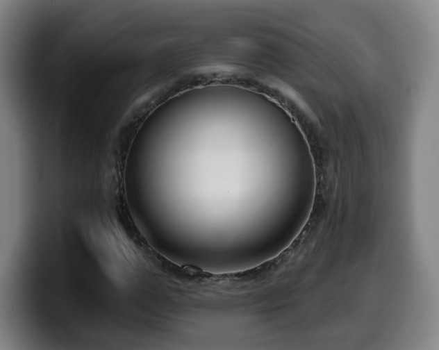 X0000099950967200805301233