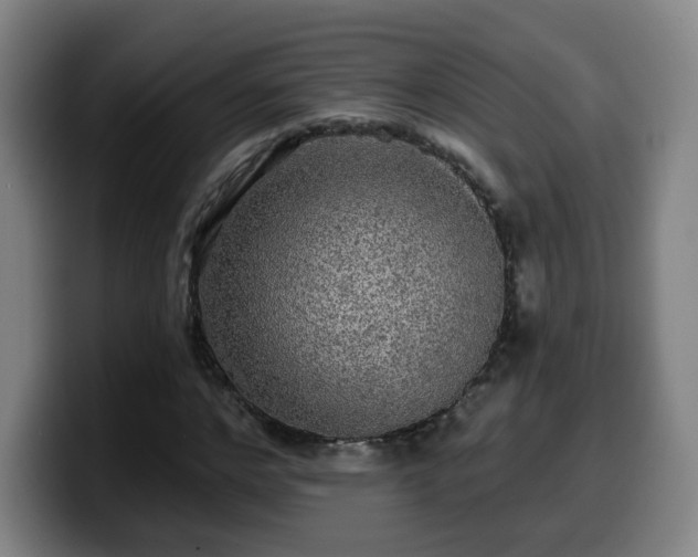 X0000099950968200805301233