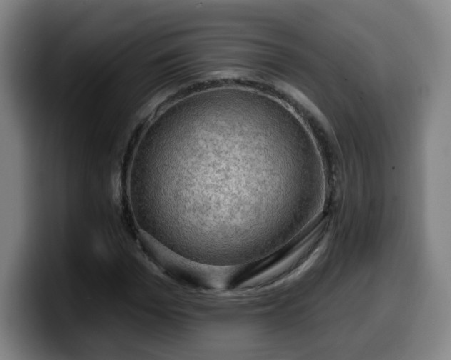 X0000099950969200805301233