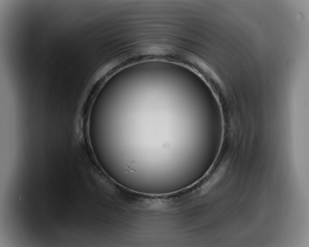X0000099950970200805301233