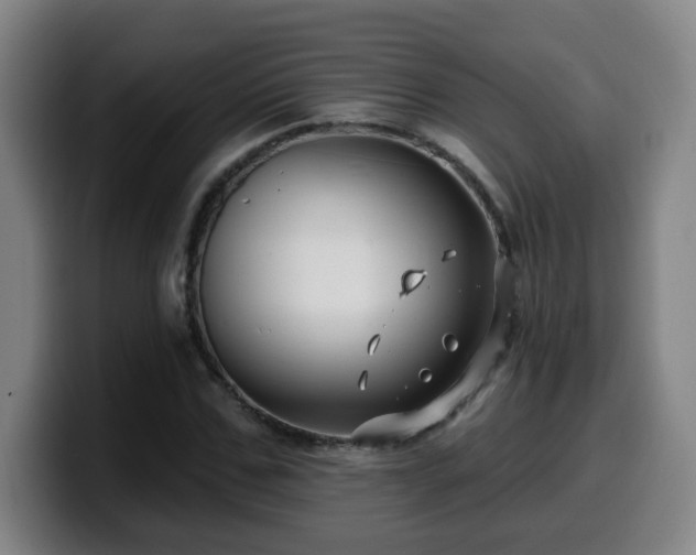 X0000099950971200805301233