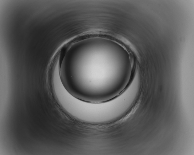 X0000099950973200805301233