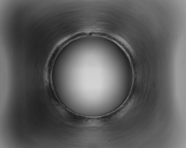 X0000099950974200805301233