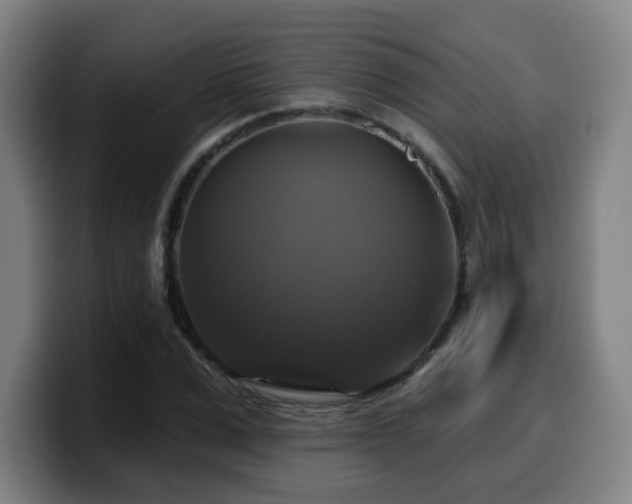 X0000099950975200805301233