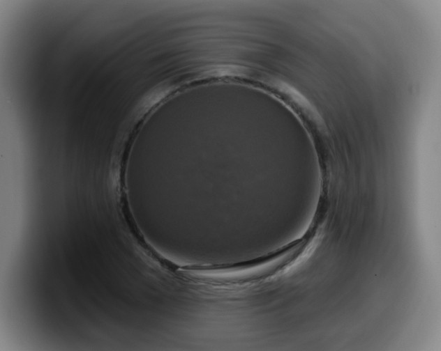 X0000099950977200805301233