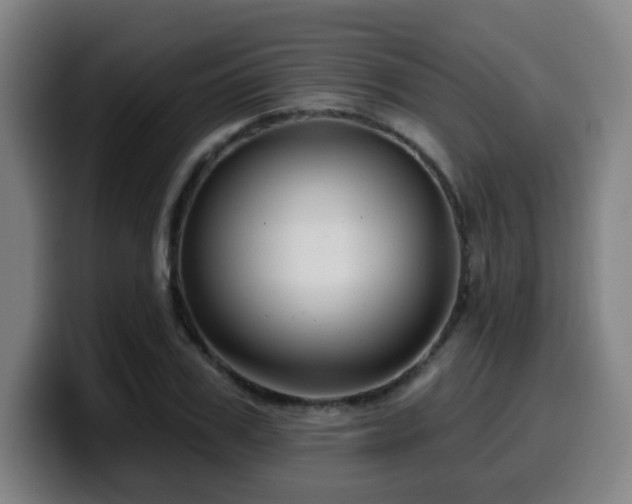 X0000099950979200805301233