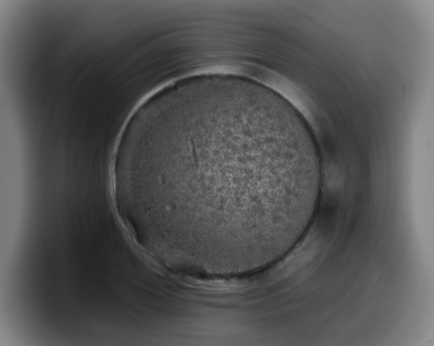 X0000099950980200805301233