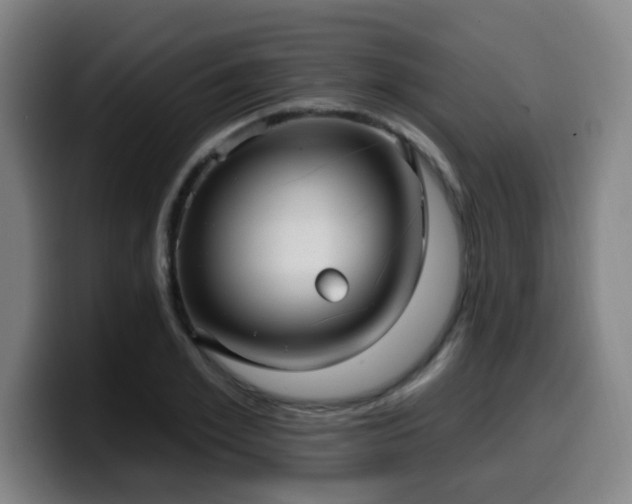 X0000099950981200805301233
