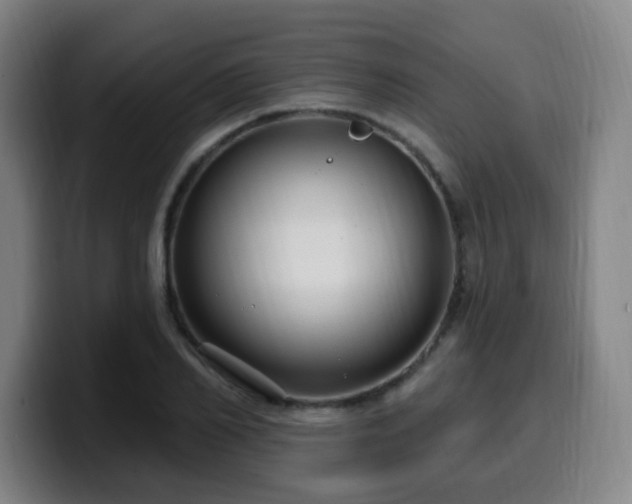 X0000099950982200805301233