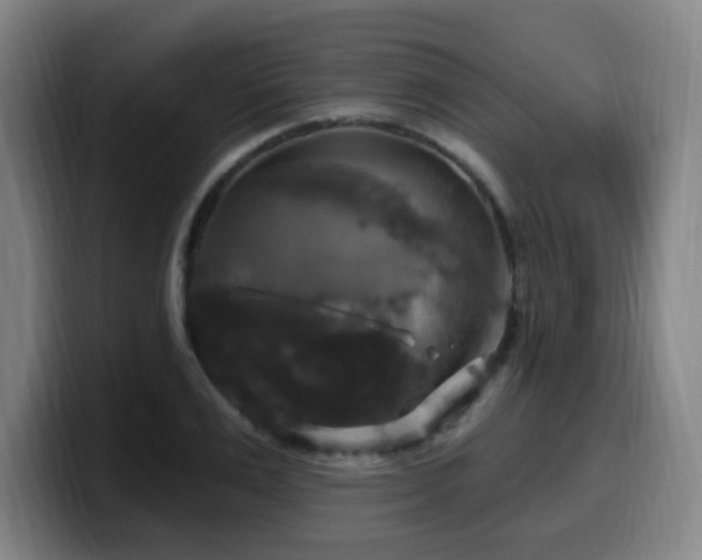 X0000099950983200805301233