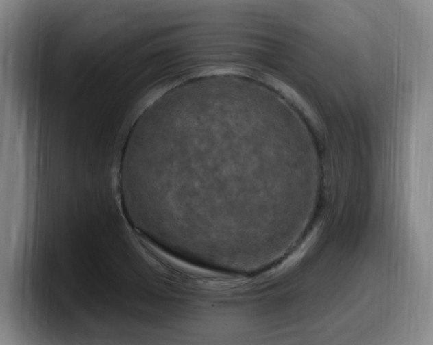 X0000099950985200805301233