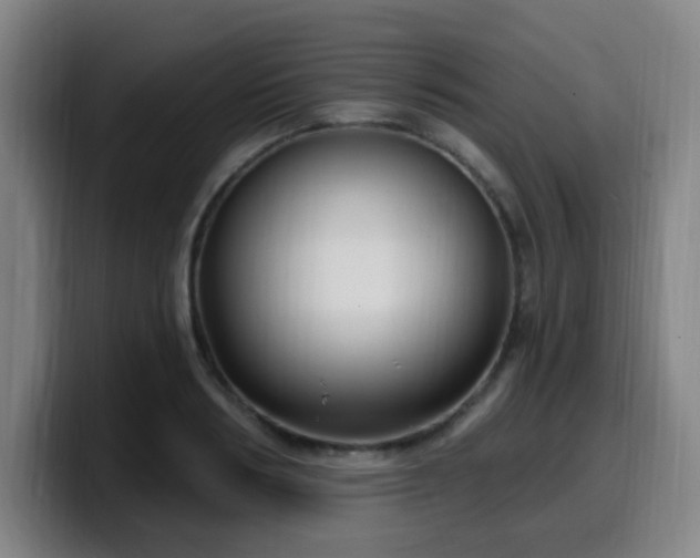 X0000099950986200805301233