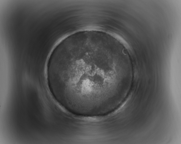 X0000099950990200805301233