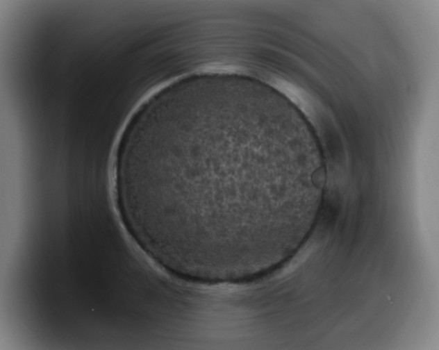 X0000099950992200805301233