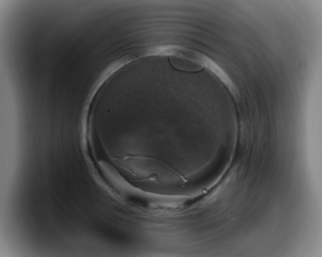 X0000099950994200805301233