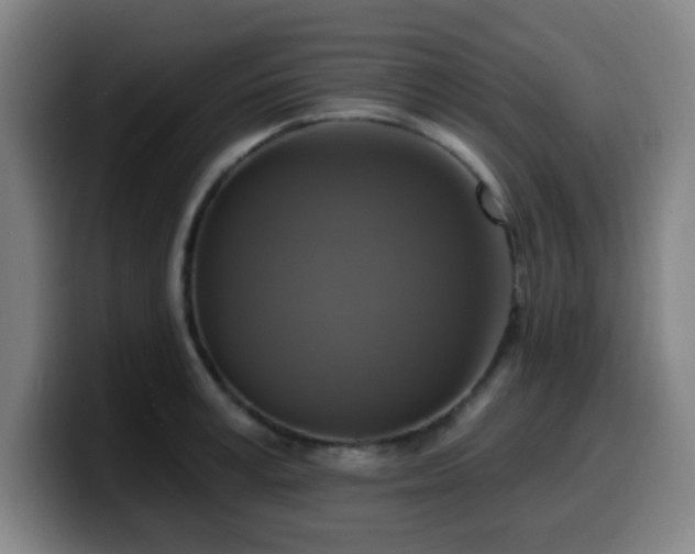 X0000099950995200805301233