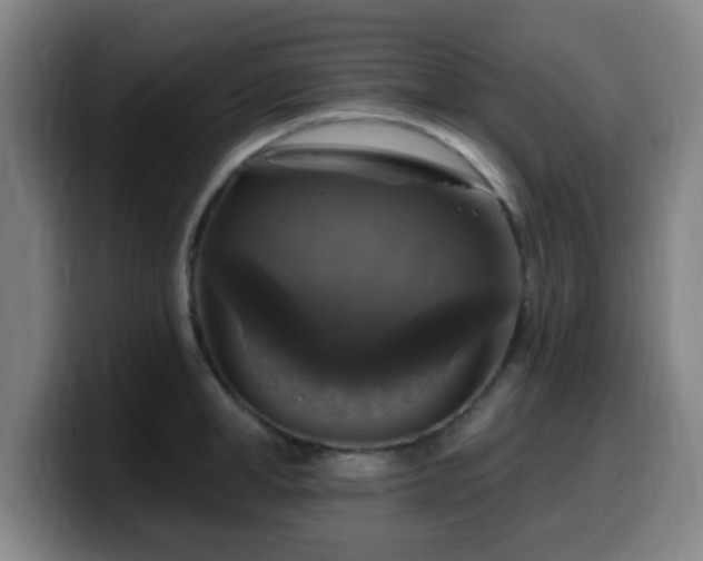 X0000099950998200805301233